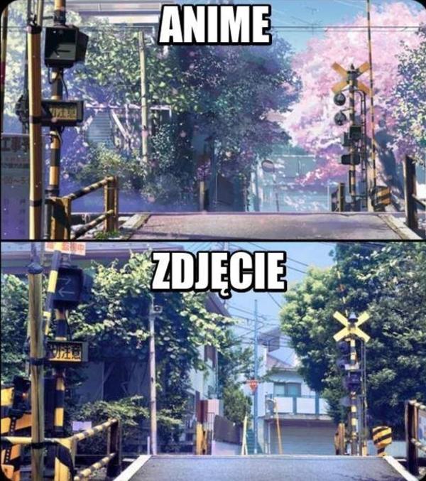 Anime vs. zdjęcie