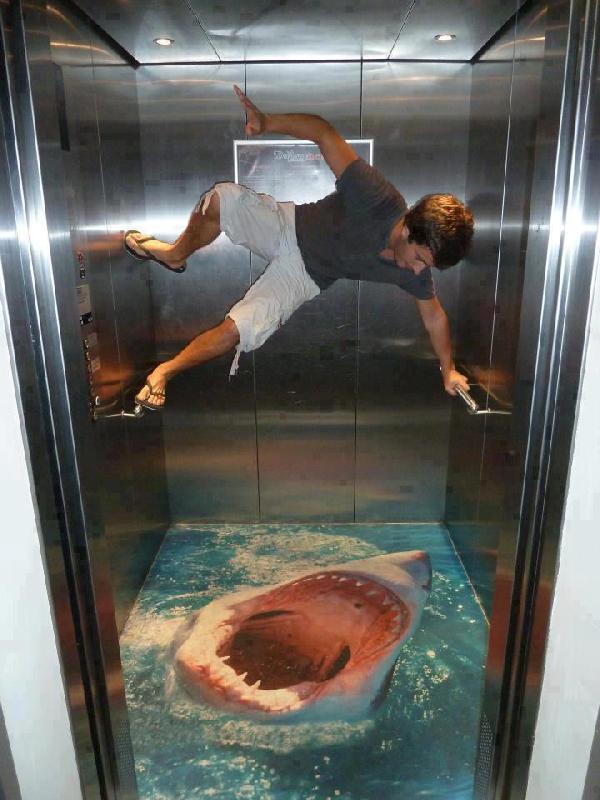 Uwaga! Rekin w windzie