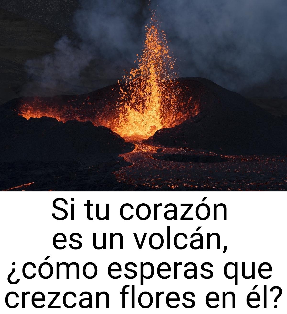 Si tu corazón es un volcán, ¿cómo esperas que crezcan