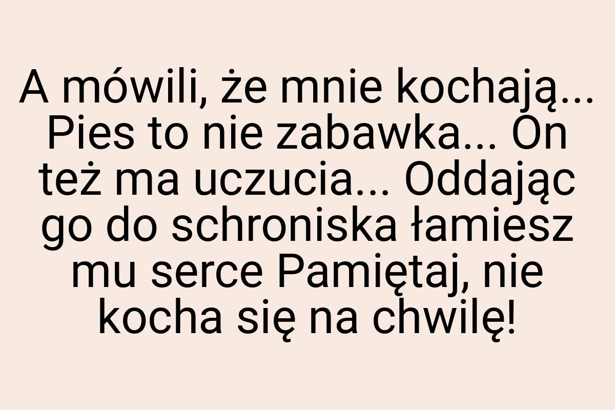 A mówili, że mnie kochają... Pies to nie zabawka... On też