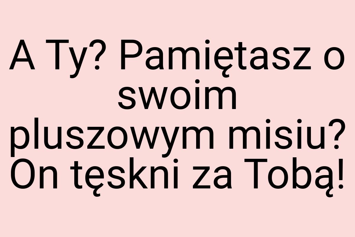 A Ty? Pamiętasz o swoim pluszowym misiu? On tęskni za Tobą