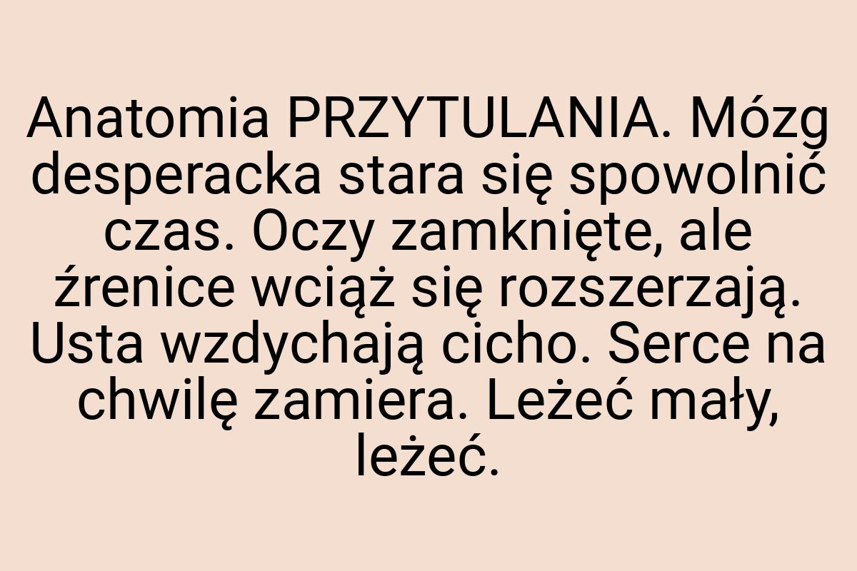 Anatomia PRZYTULANIA. Mózg desperacka stara się spowolnić