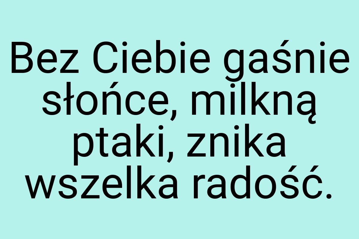 Bez Ciebie gaśnie słońce, milkną ptaki, znika wszelka