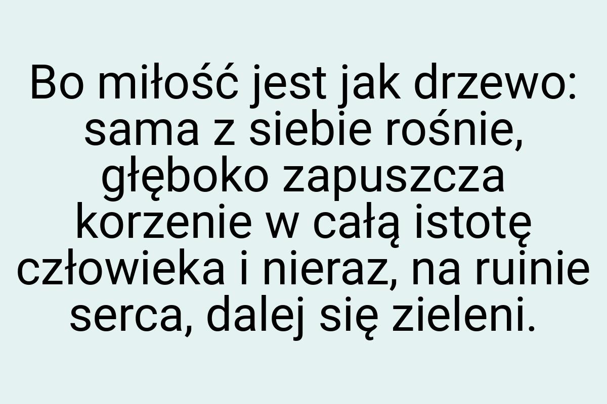 Bo miłość jest jak drzewo: sama z siebie rośnie, głęboko