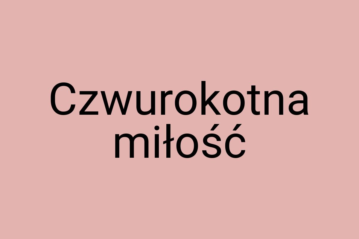 Czwurokotna miłość