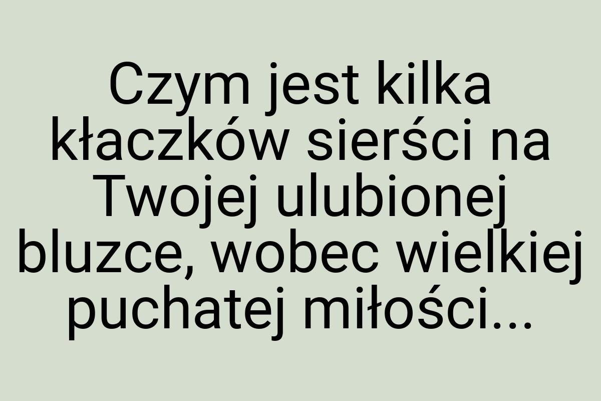 Czym jest kilka kłaczków sierści na Twojej ulubionej