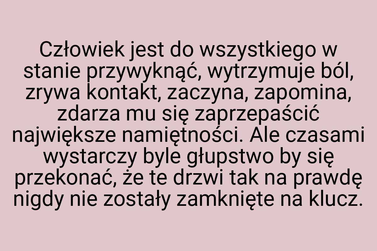 Człowiek jest do wszystkiego w stanie przywyknąć