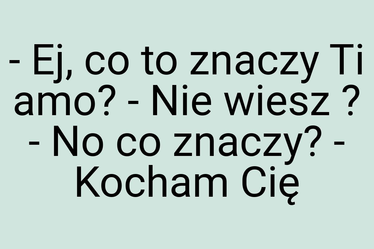 - Ej, co to znaczy Ti amo? - Nie wiesz ? - No co znaczy