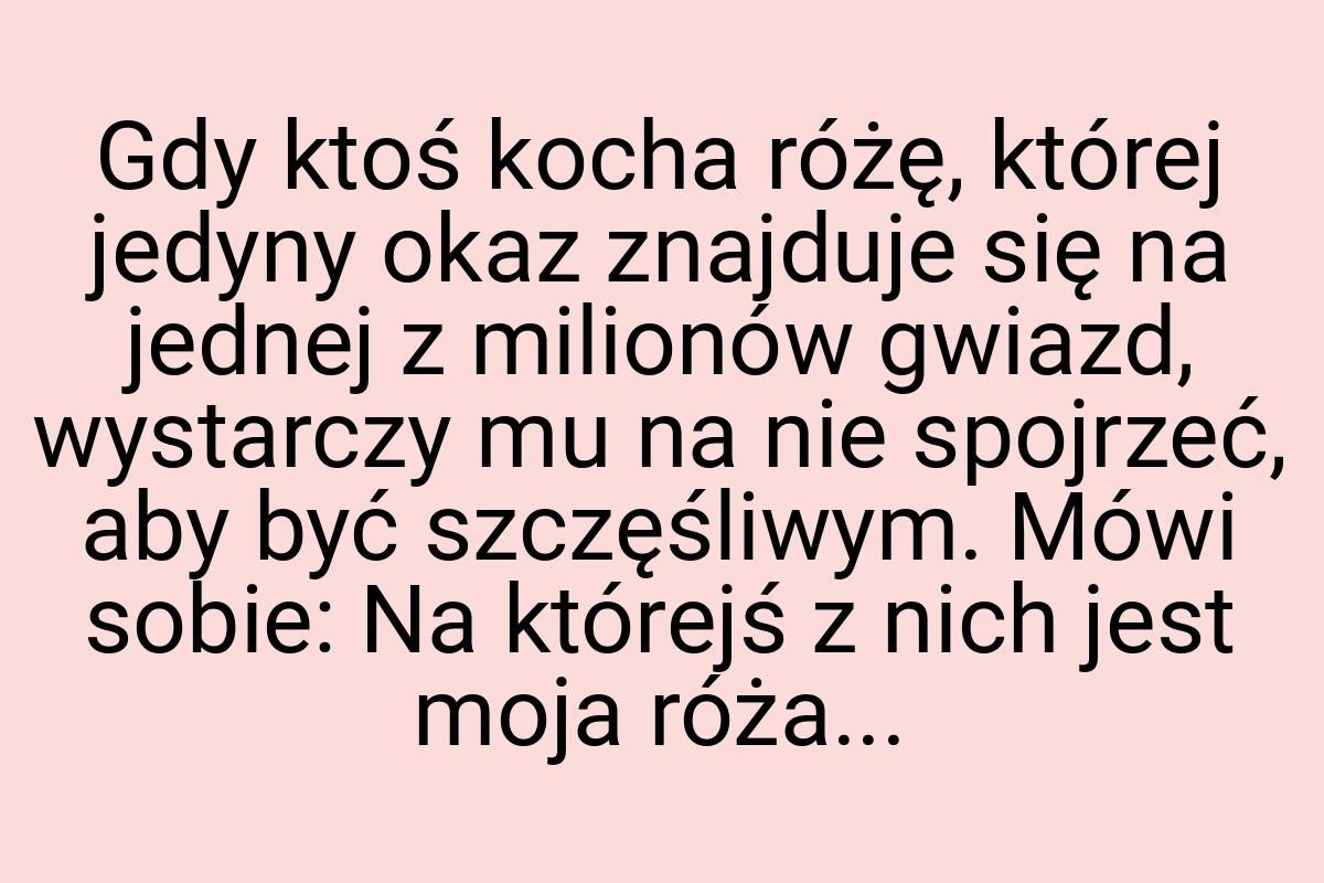 Gdy ktoś kocha różę, której jedyny okaz znajduje się na