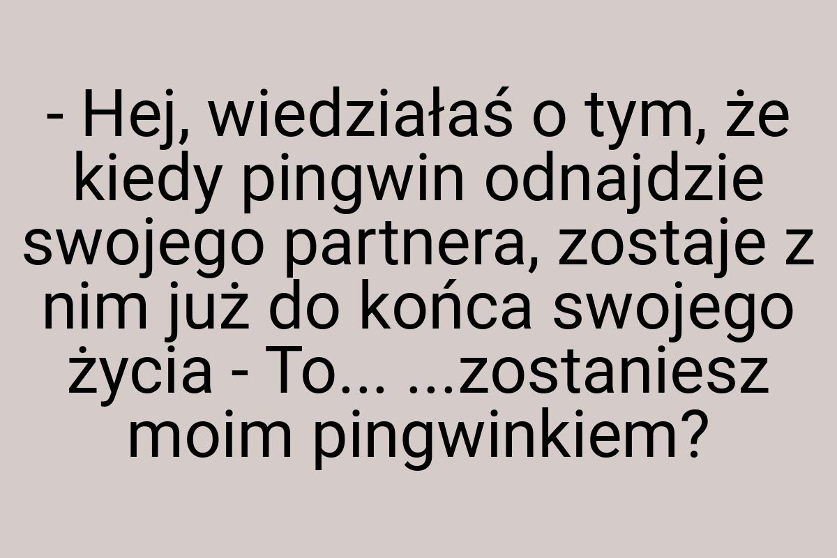 - Hej, wiedziałaś o tym, że kiedy pingwin odnajdzie swojego