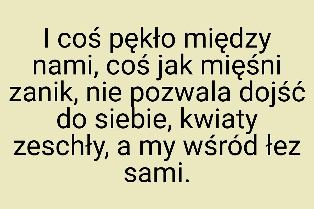 I coś pękło między nami, coś jak mięśni zanik, nie pozwala