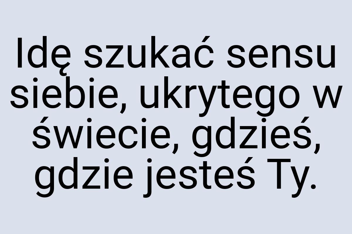 Idę szukać sensu siebie, ukrytego w świecie, gdzieś, gdzie