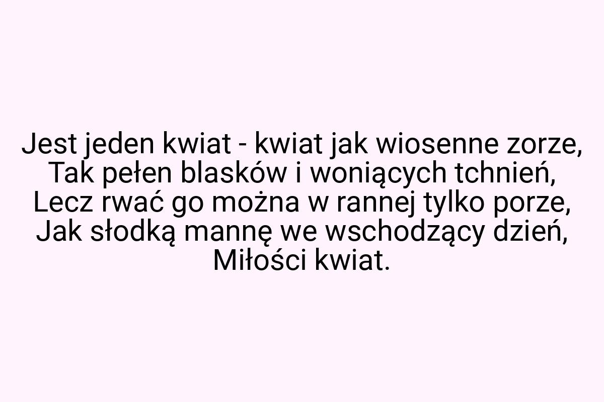 Jest jeden kwiat - kwiat jak wiosenne zorze, Tak pełen