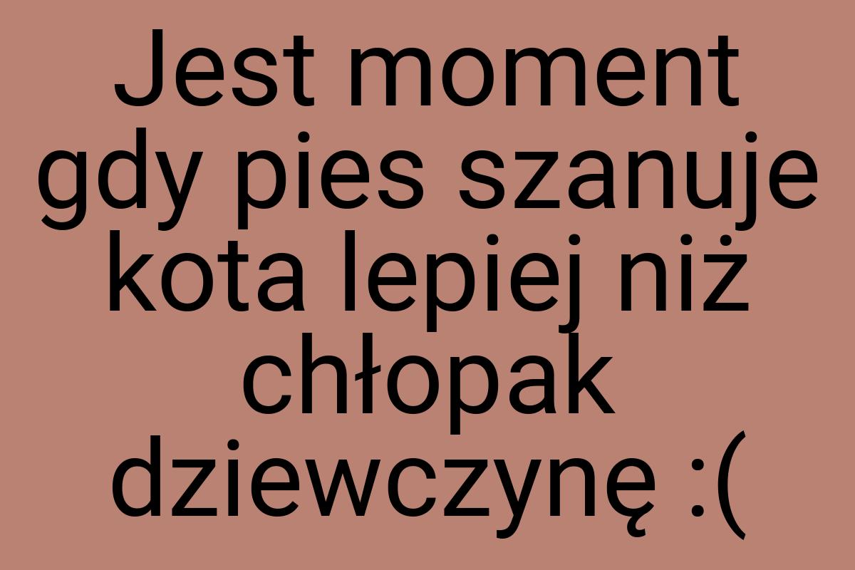 Jest moment gdy pies szanuje kota lepiej niż chłopak