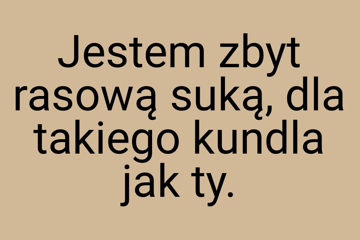 Jestem zbyt rasową suką, dla takiego kundla jak ty