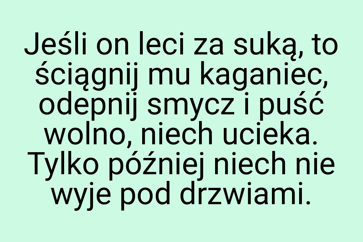 Jeśli on leci za suką, to ściągnij mu kaganiec, odepnij