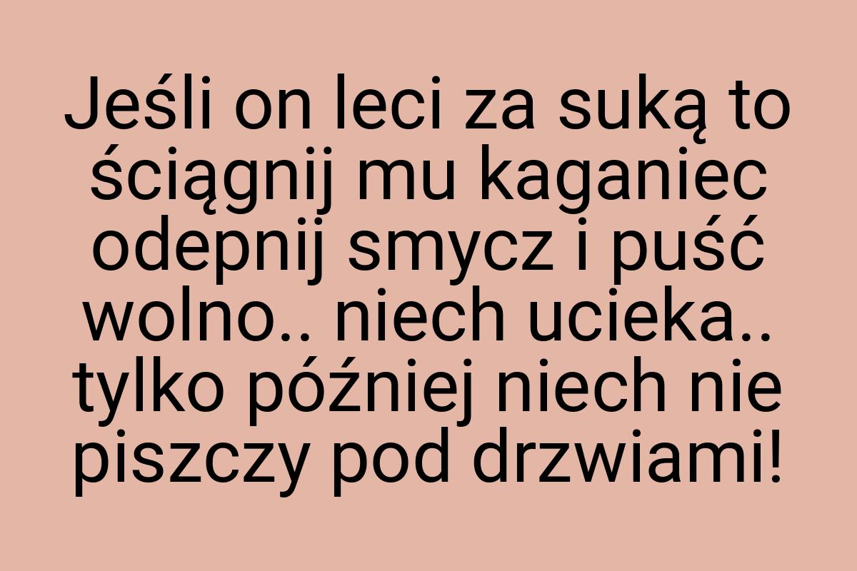 Jeśli on leci za suką to ściągnij mu kaganiec odepnij smycz