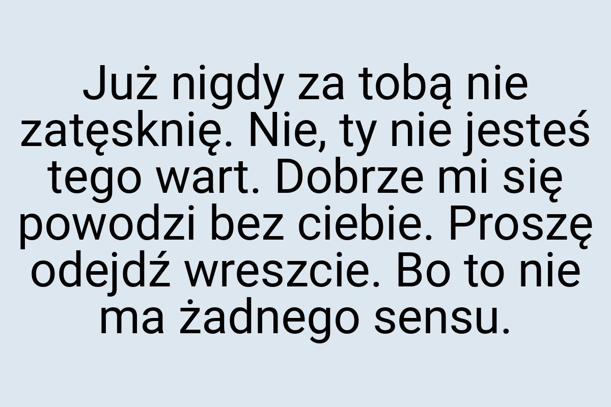 Już nigdy za tobą nie zatęsknię. Nie, ty nie jesteś tego