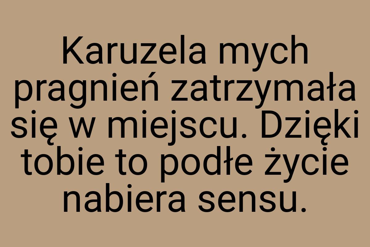 Karuzela mych pragnień zatrzymała się w miejscu. Dzięki