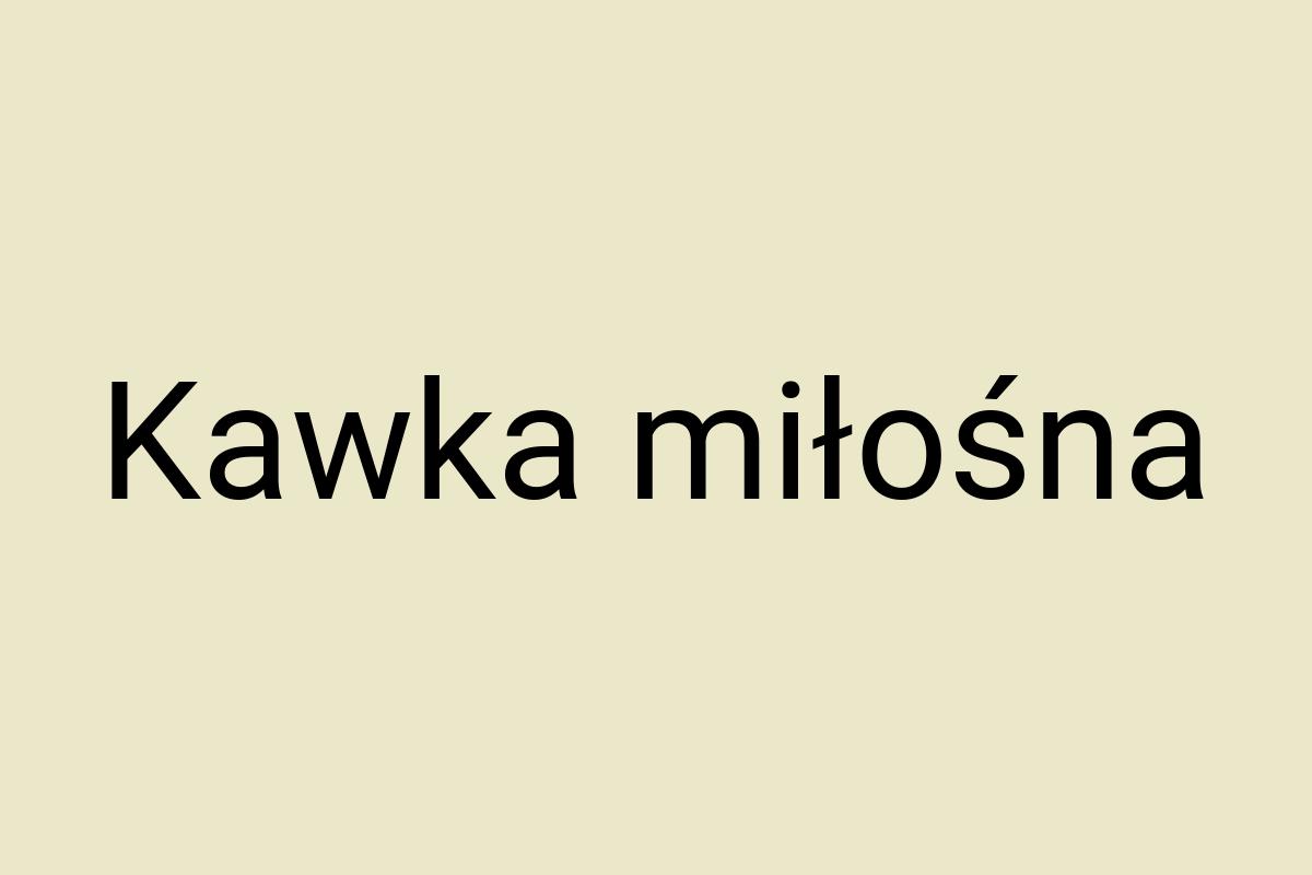 Kawka miłośna