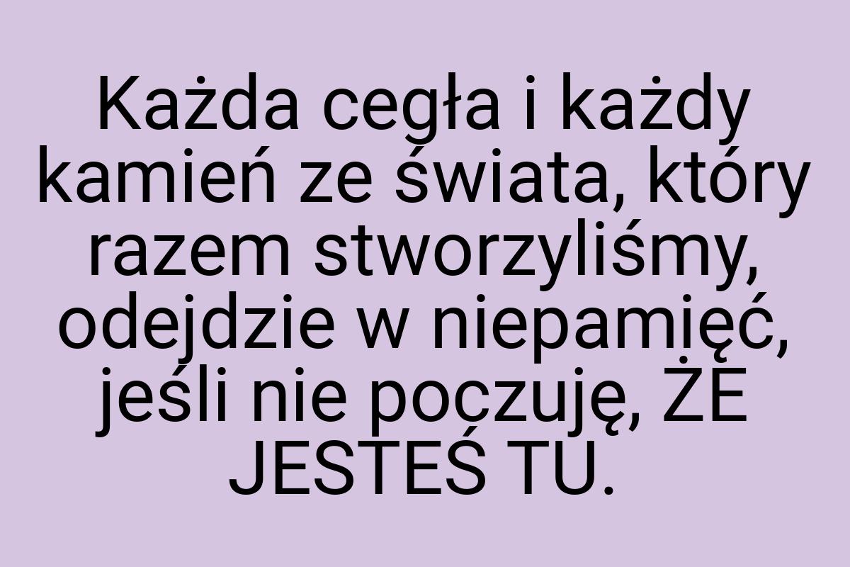 Każda cegła i każdy kamień ze świata, który razem