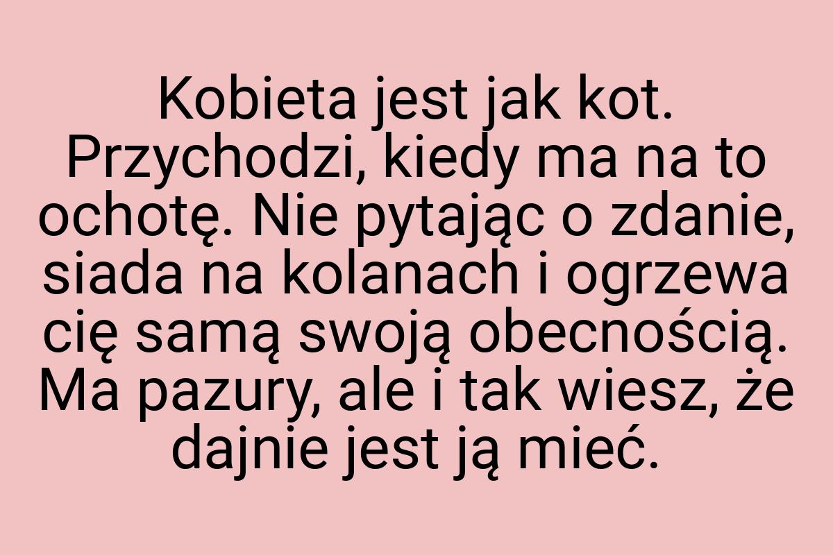 Kobieta jest jak kot. Przychodzi, kiedy ma na to ochotę