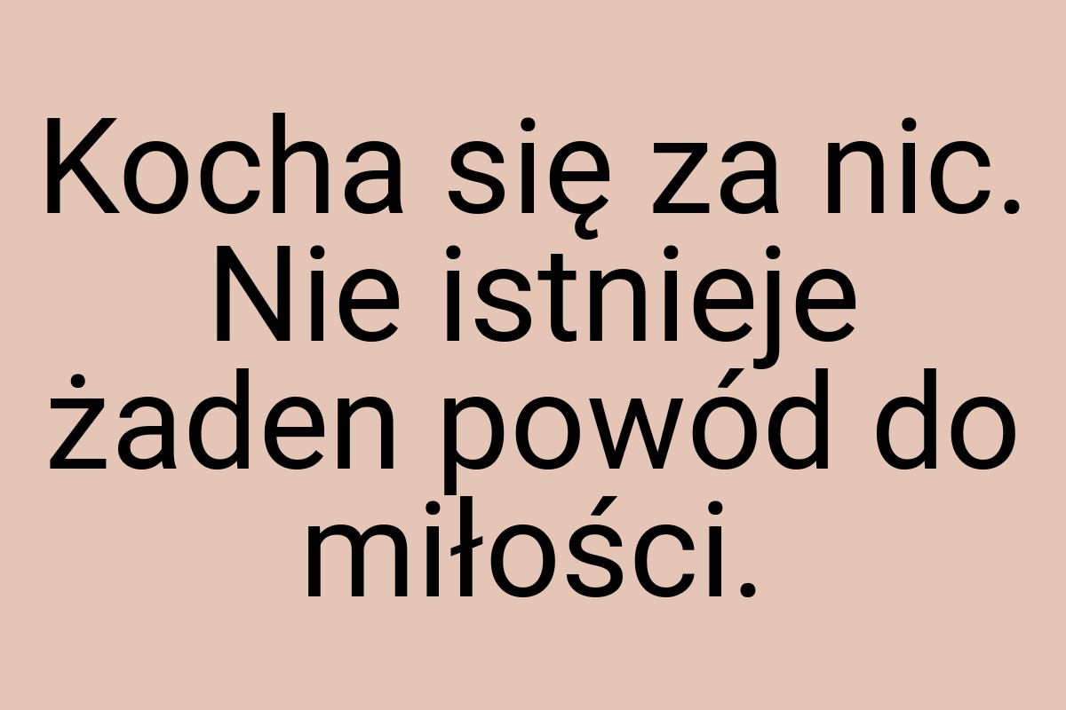 Kocha się za nic. Nie istnieje żaden powód do miłości