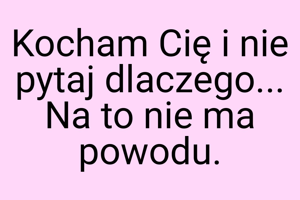 Kocham Cię i nie pytaj dlaczego... Na to nie ma powodu