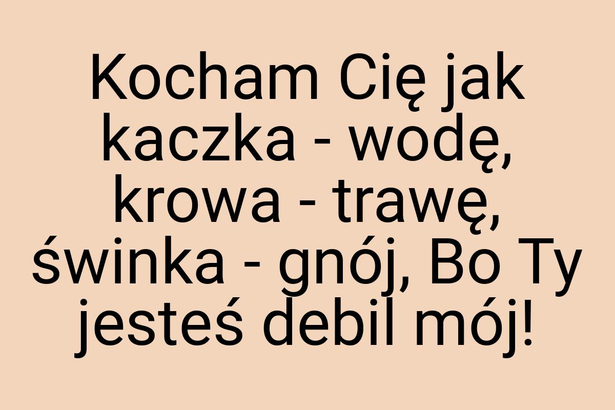 Kocham Cię jak kaczka - wodę, krowa - trawę, świnka - gnój