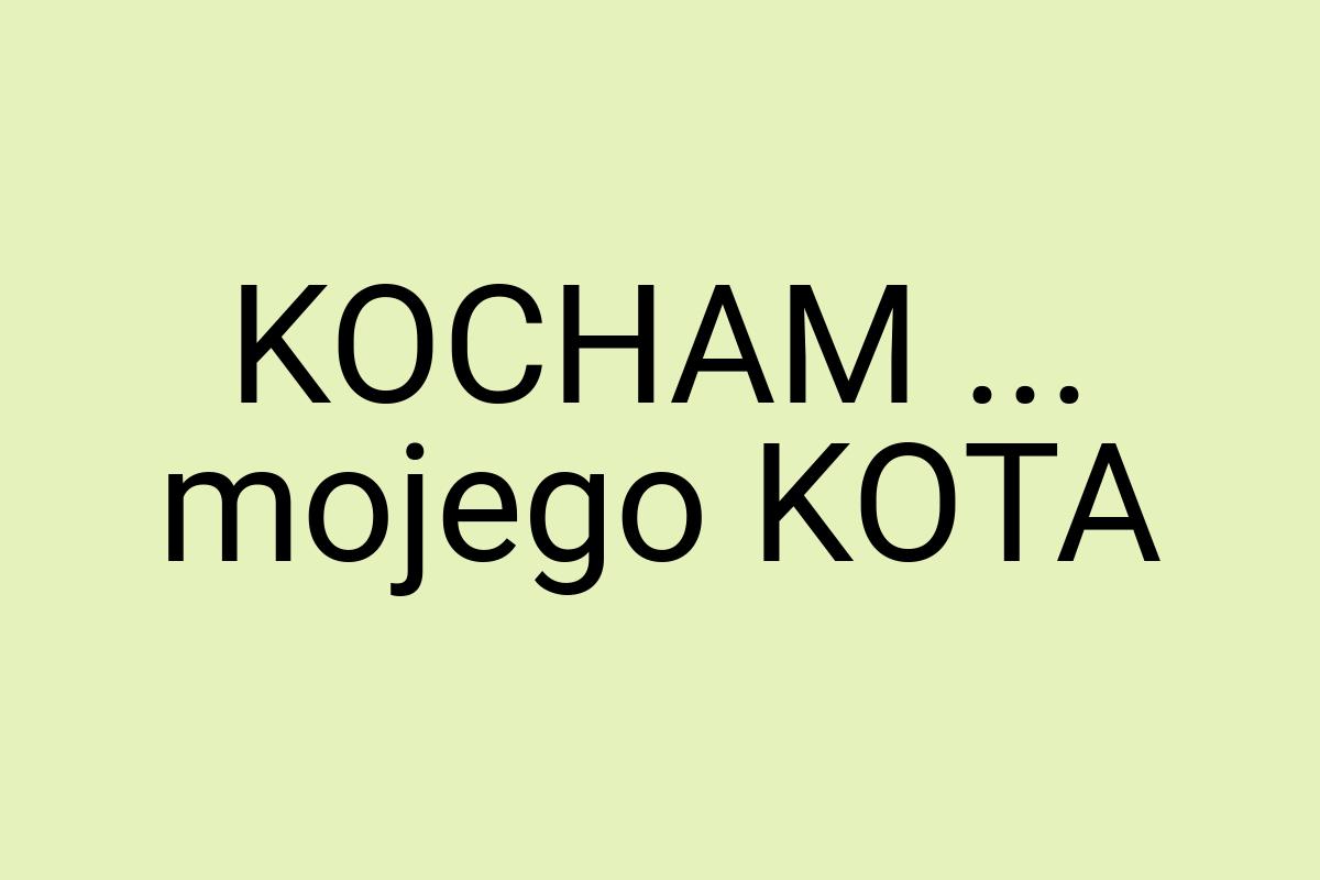 KOCHAM ... mojego KOTA