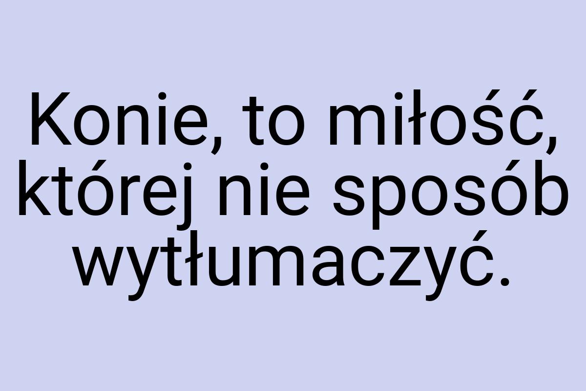 Konie, to miłość, której nie sposób wytłumaczyć