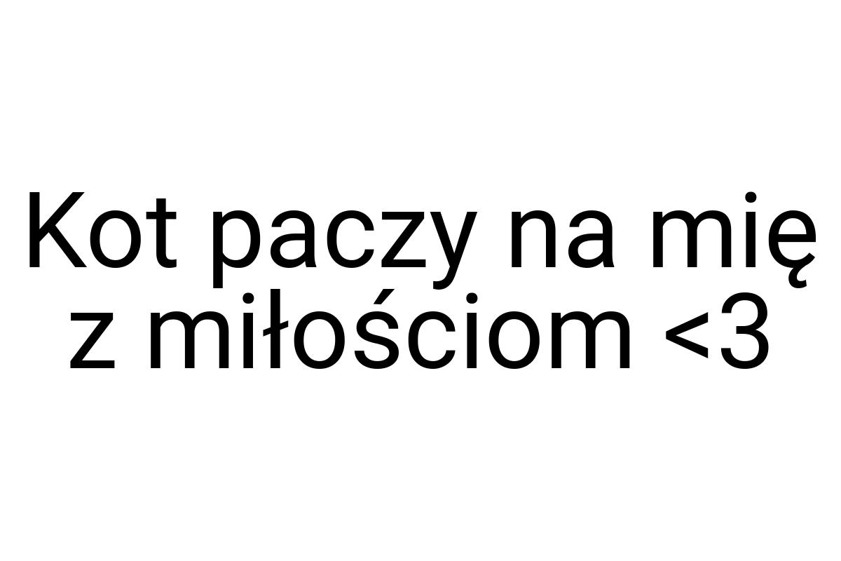 Kot paczy na mię z miłościom