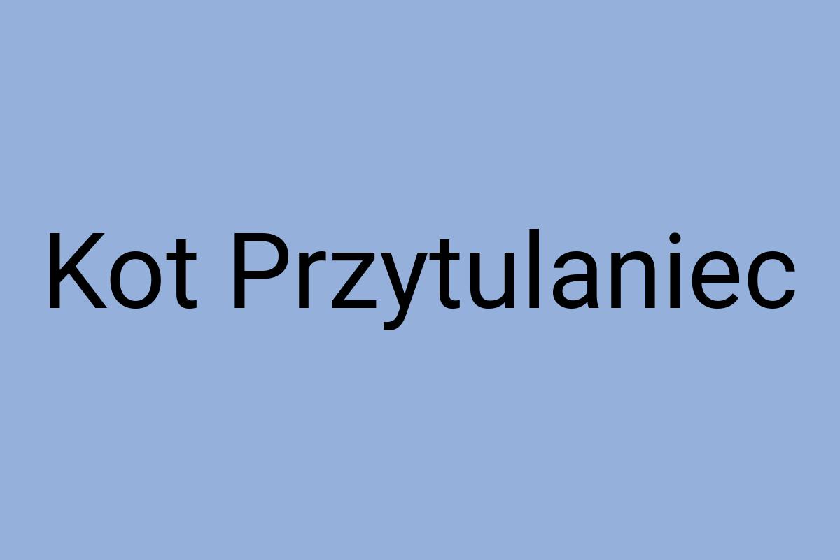 Kot Przytulaniec