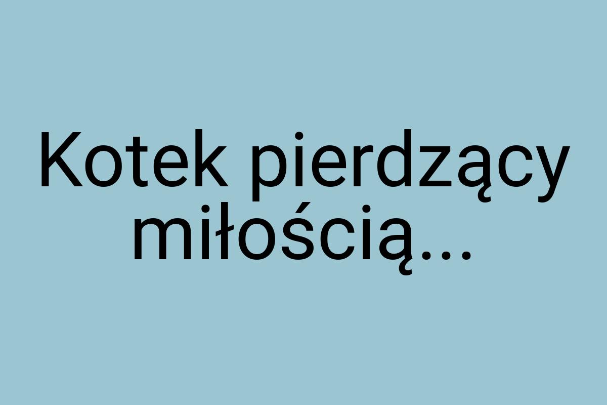 Kotek pierdzący miłością
