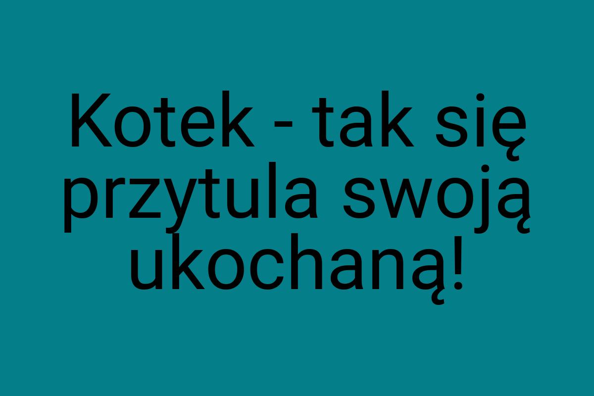 Kotek - tak się przytula swoją ukochaną