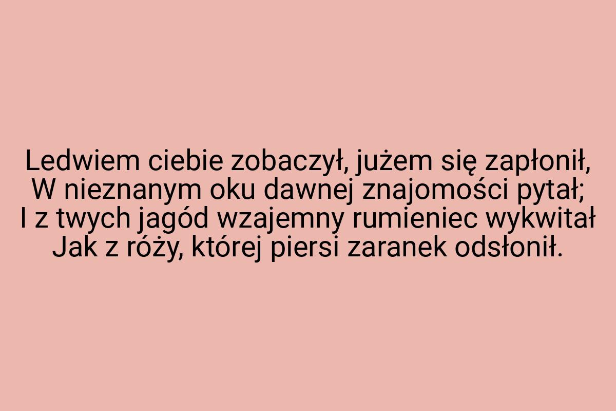 Ledwiem ciebie zobaczył, jużem się zapłonił, W nieznanym