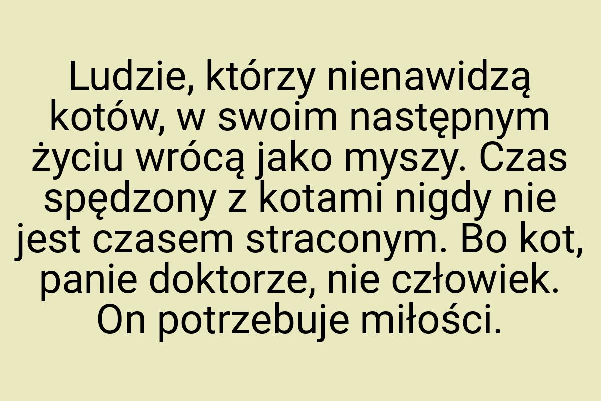 Ludzie, którzy nienawidzą kotów, w swoim następnym życiu