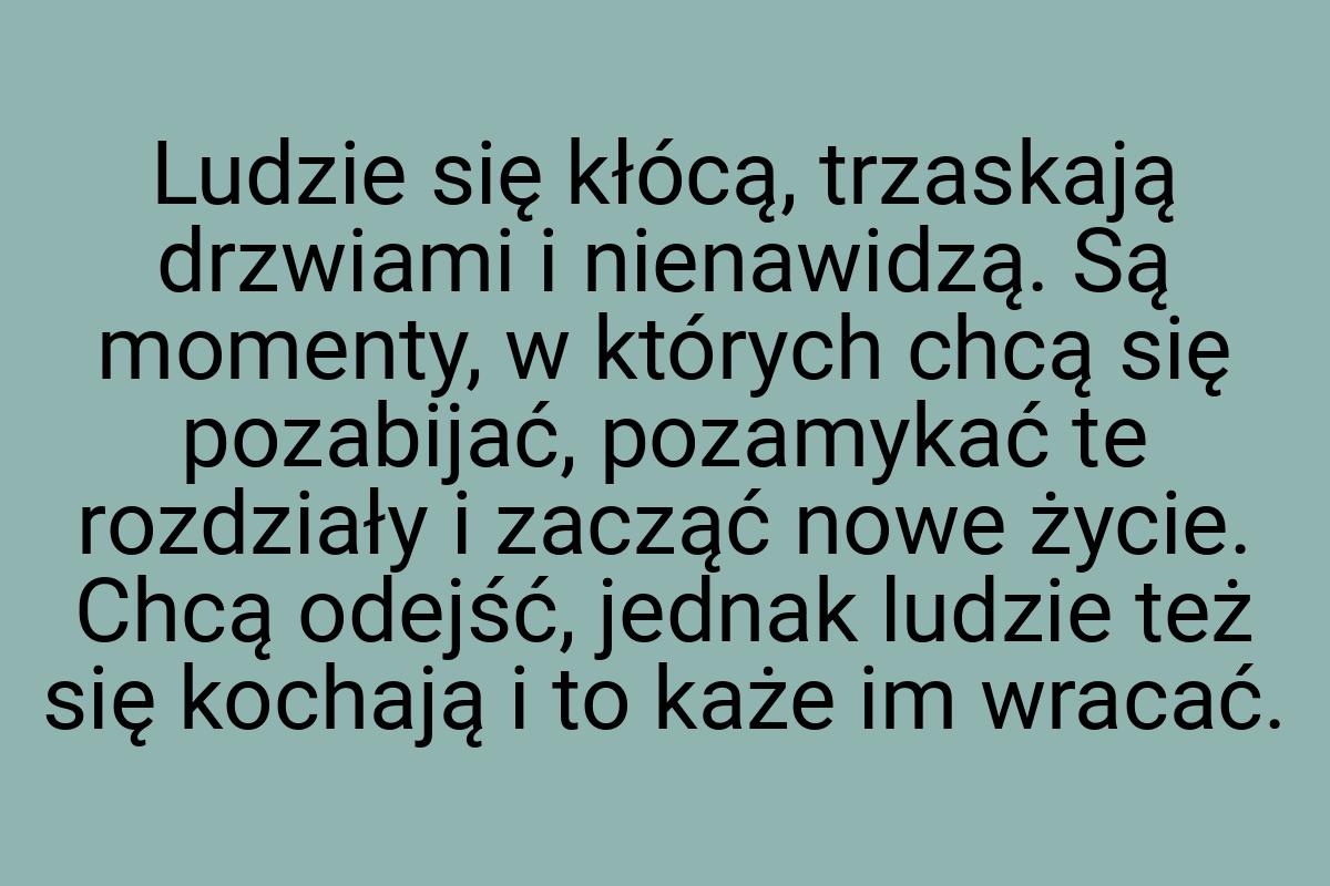 Ludzie się kłócą, trzaskają drzwiami i nienawidzą. Są