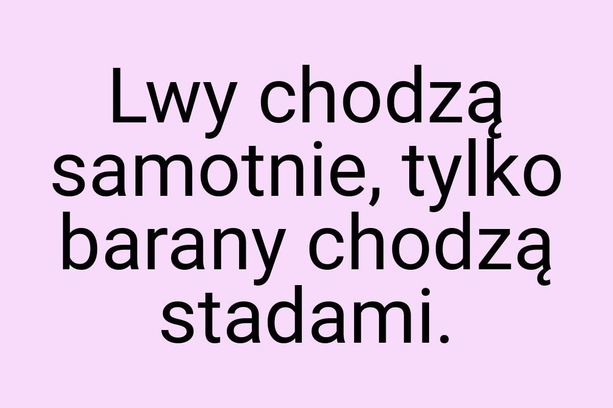 Lwy chodzą samotnie, tylko barany chodzą stadami