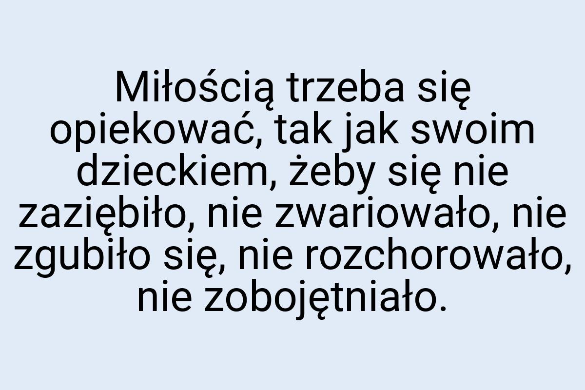 Miłością trzeba się opiekować, tak jak swoim dzieckiem