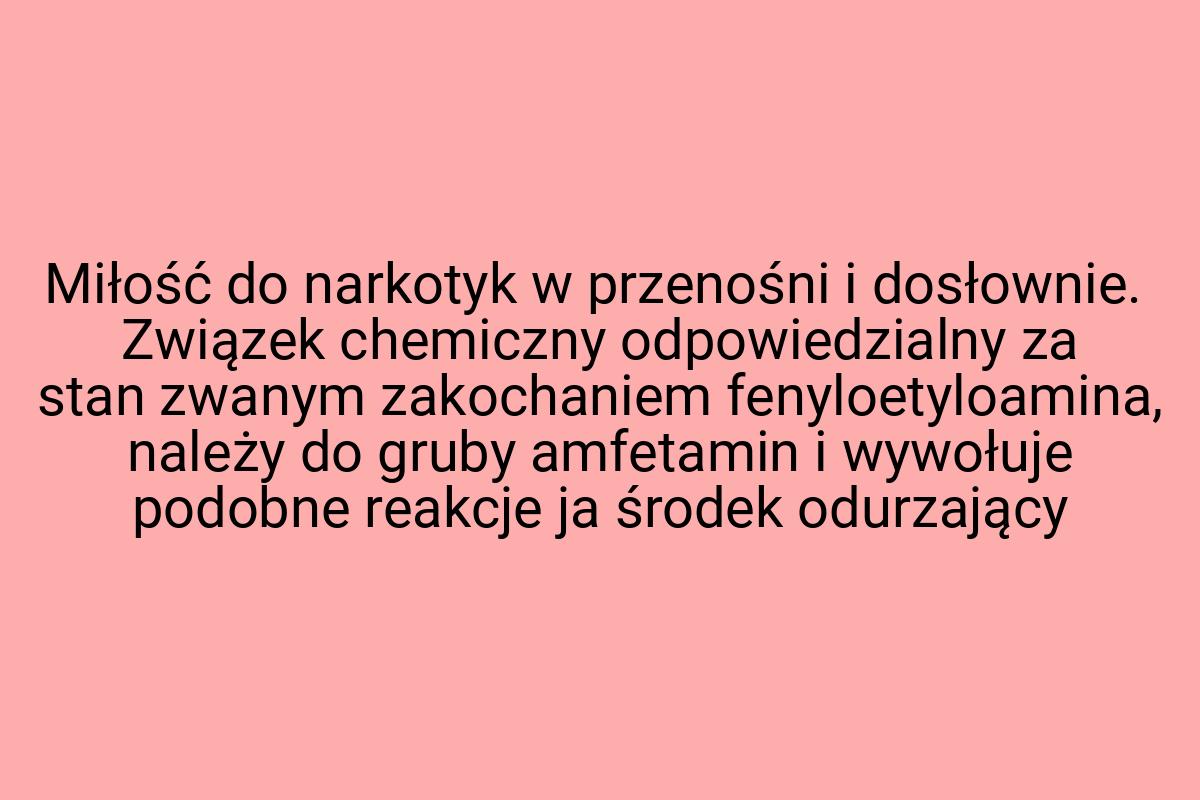 Miłość do narkotyk w przenośni i dosłownie. Związek