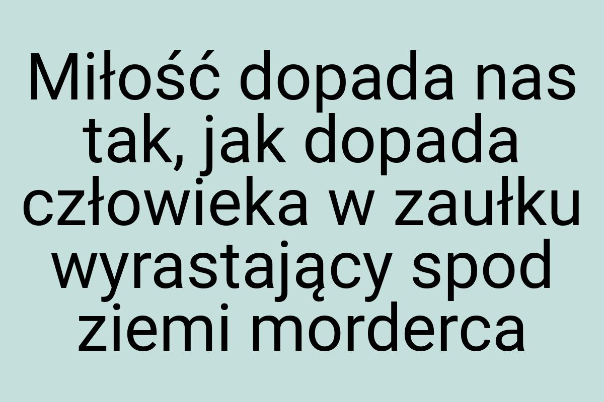 Miłość dopada nas tak, jak dopada człowieka w zaułku