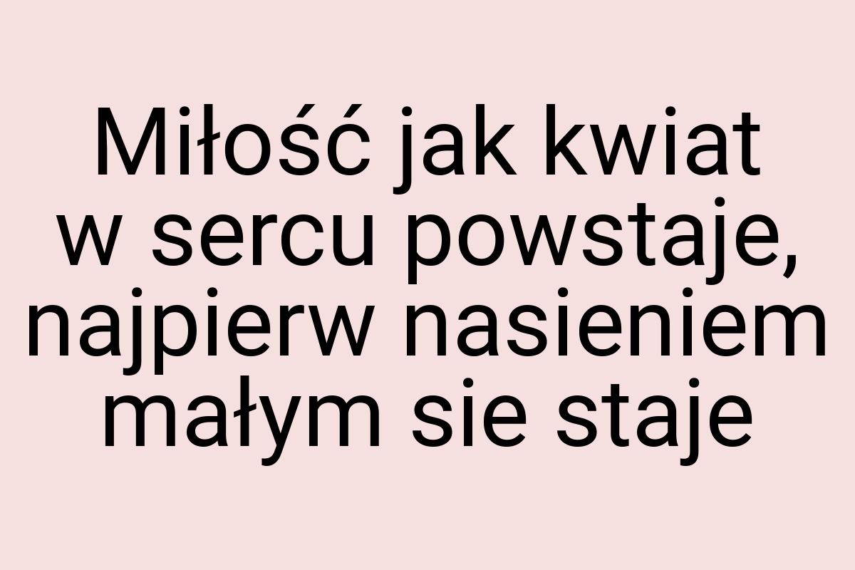 Miłość jak kwiat w sercu powstaje, najpierw nasieniem małym