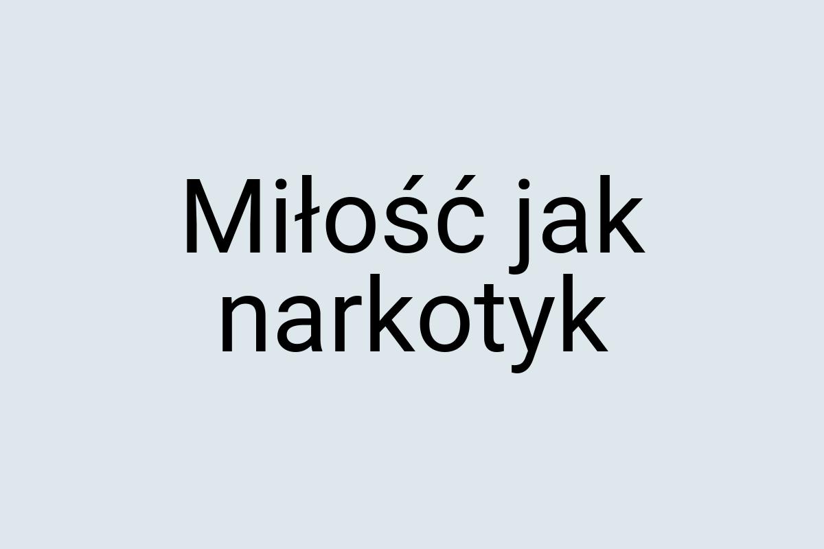 Miłość jak narkotyk