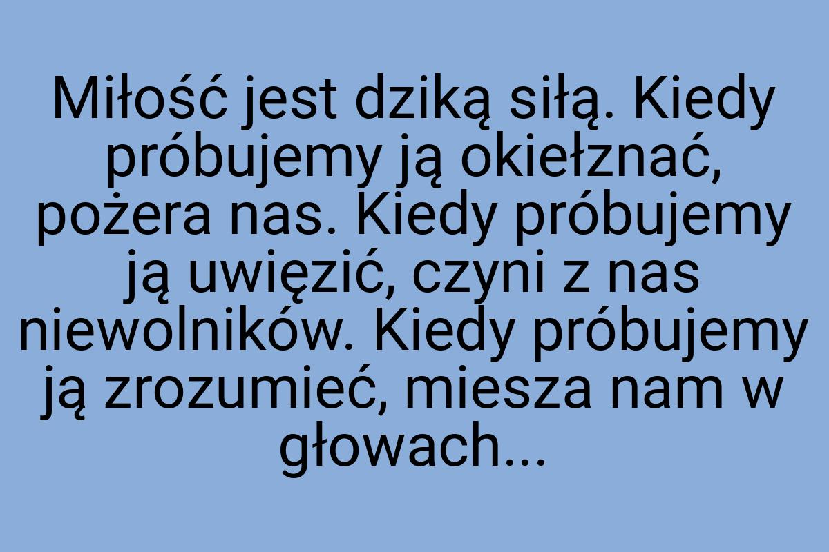 Miłość jest dziką siłą. Kiedy próbujemy ją okiełznać