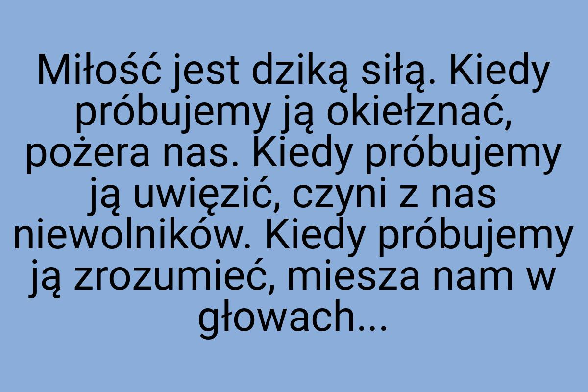 Miłość jest dziką siłą. Kiedy próbujemy ją okiełznać