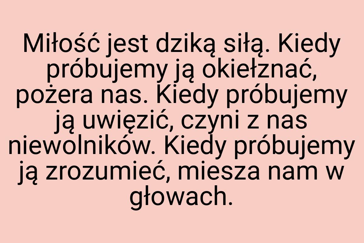 Miłość jest dziką siłą. Kiedy próbujemy ją okiełznać