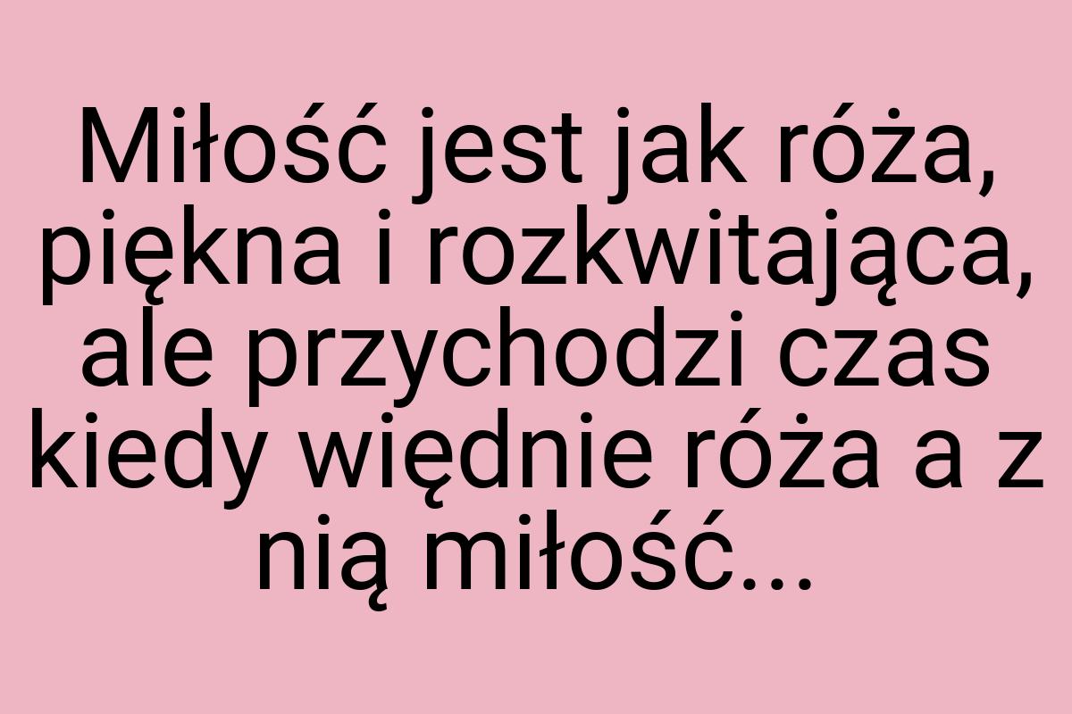 Miłość jest jak róża, piękna i rozkwitająca, ale przychodzi