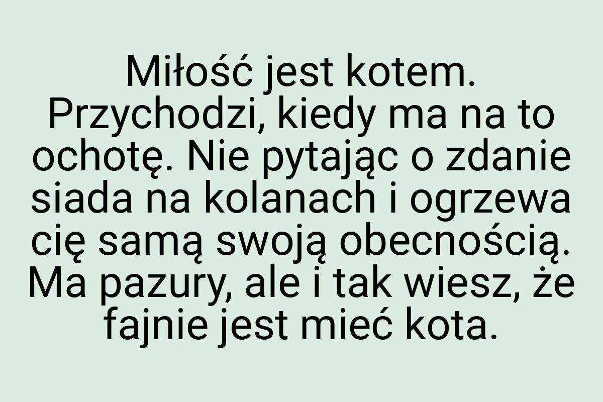 Miłość jest kotem. Przychodzi, kiedy ma na to ochotę. Nie