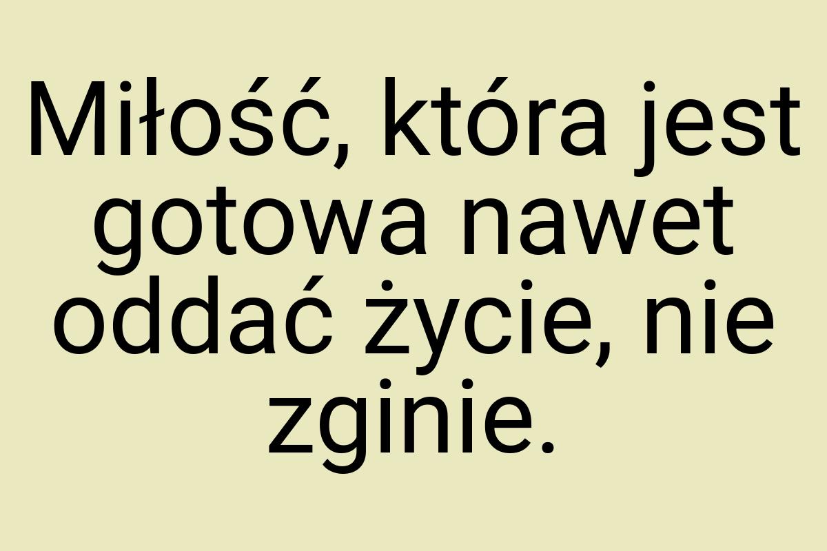 Miłość, która jest gotowa nawet oddać życie, nie zginie